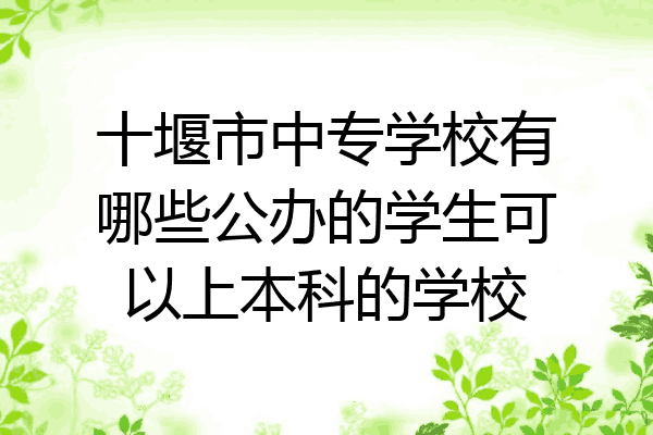 十堰市中专学校有哪些公办的学生可以上本科的学校