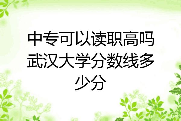 中专可以读职高吗武汉大学分数线多少分