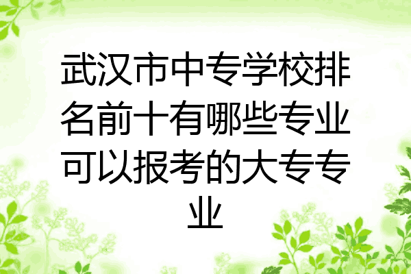 武汉市中专学校排名前十有哪些专业可以报考的大专专业