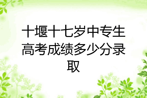 十堰十七岁中专生高考成绩多少分录取