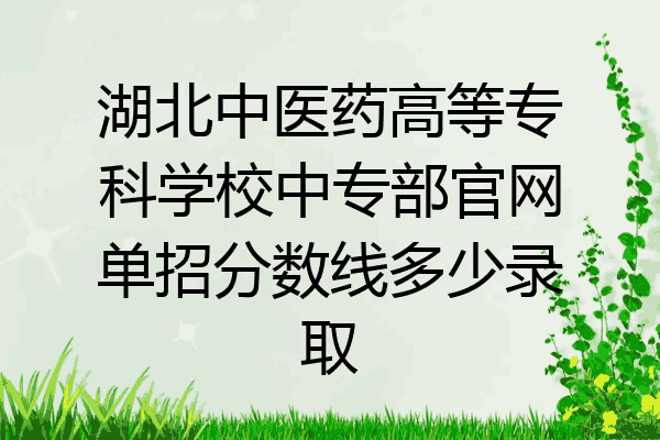 湖北中医药高等专科学校中专部官网单招分数线多少录取