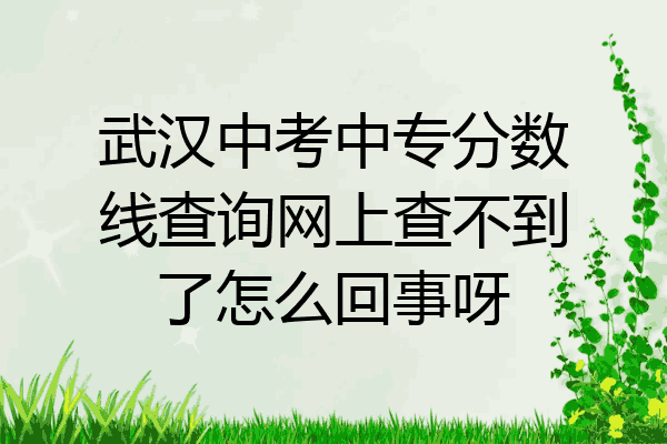 武汉中考中专分数线查询网上查不到了怎么回事呀
