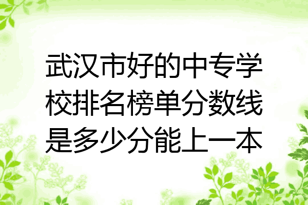 武汉市好的中专学校排名榜单分数线是多少分能上一本