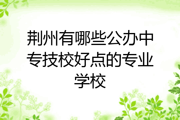荆州有哪些公办中专技校好点的专业学校