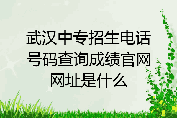 武汉中专招生电话号码查询成绩官网网址是什么