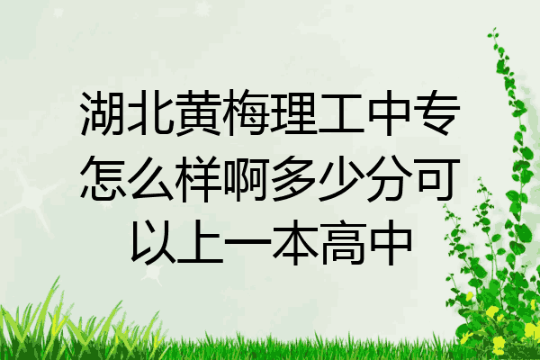 湖北黄梅理工中专怎么样啊多少分可以上一本高中