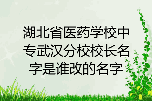 湖北省医药学校中专武汉分校校长名字是谁改的名字