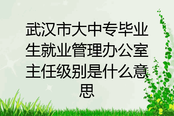 武汉市大中专毕业生就业管理办公室主任级别是什么意思