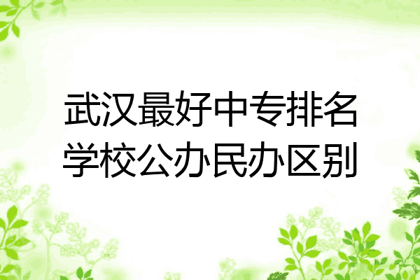 武汉最好中专排名学校公办民办区别