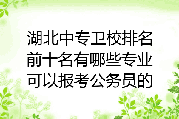 湖北中专卫校排名前十名有哪些专业可以报考公务员的