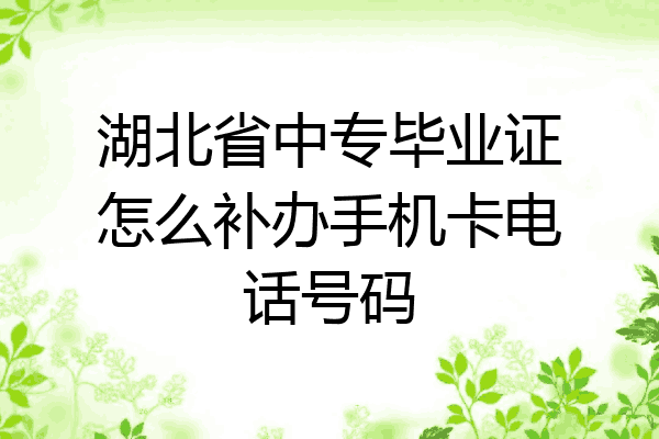 湖北省中专毕业证怎么补办手机卡电话号码