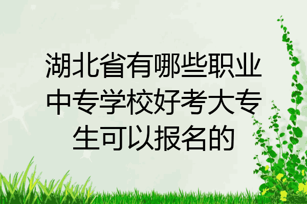 湖北省有哪些职业中专学校好考大专生可以报名的