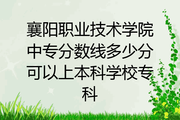 襄阳职业技术学院中专分数线多少分可以上本科学校专科