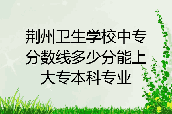 荆州卫生学校中专分数线多少分能上大专本科专业
