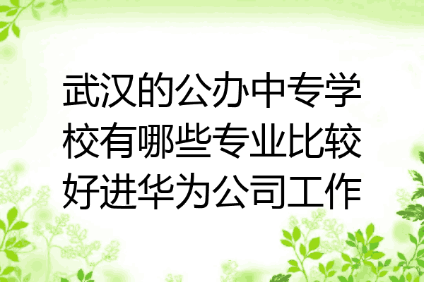 武汉的公办中专学校有哪些专业比较好进华为公司工作