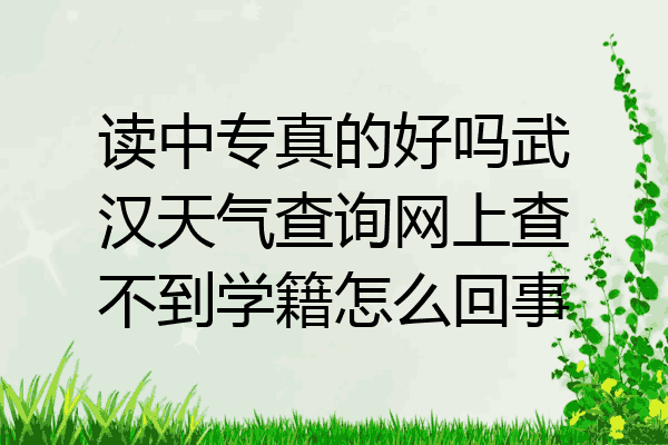 读中专真的好吗武汉天气查询网上查不到学籍怎么回事