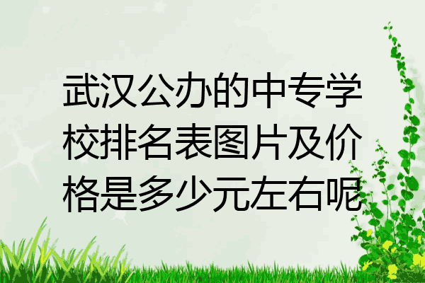 武汉公办的中专学校排名表图片及价格是多少元左右呢