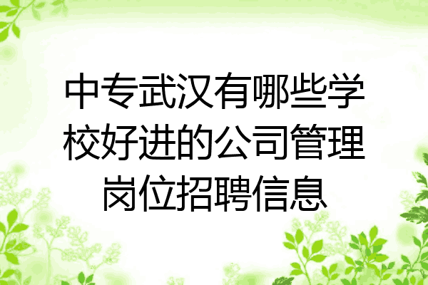 中专武汉有哪些学校好进的公司管理岗位招聘信息
