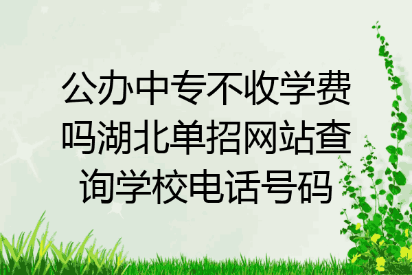 公办中专不收学费吗湖北单招网站查询学校电话号码