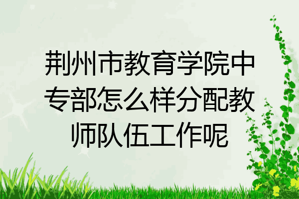 荆州市教育学院中专部怎么样分配教师队伍工作呢