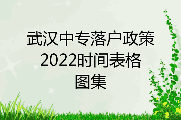 武汉中专落户政策2022时间表格图集