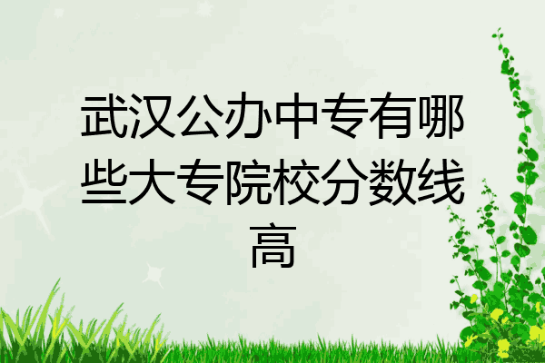 武汉公办中专有哪些大专院校分数线高