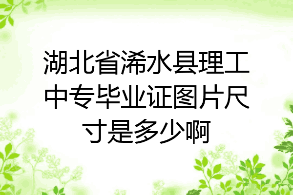 湖北省浠水县理工中专毕业证图片尺寸是多少啊