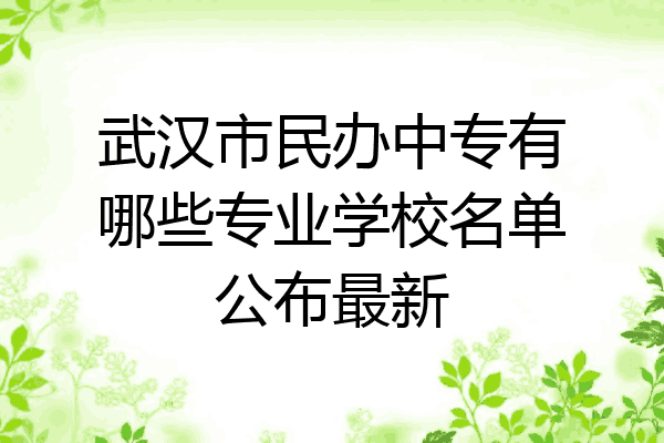 武汉市民办中专有哪些专业学校名单公布最新