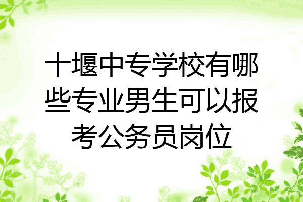 十堰中专学校有哪些专业男生可以报考公务员岗位