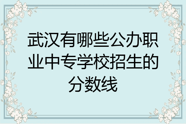 武汉有哪些公办职业中专学校招生的分数线