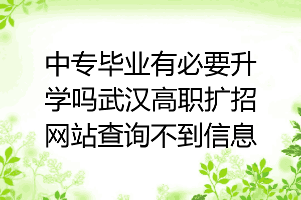 中专毕业有必要升学吗武汉高职扩招网站查询不到信息