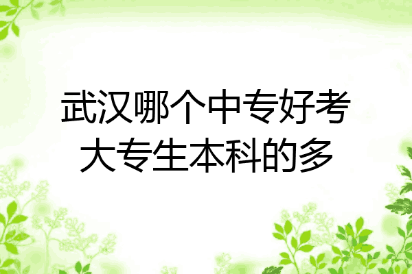 武汉哪个中专好考大专生本科的多