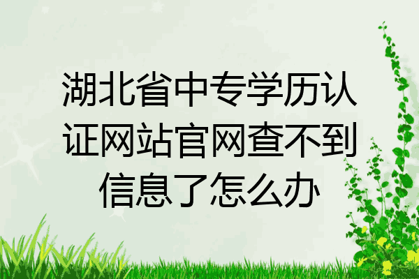 湖北省中专学历认证网站官网查不到信息了怎么办