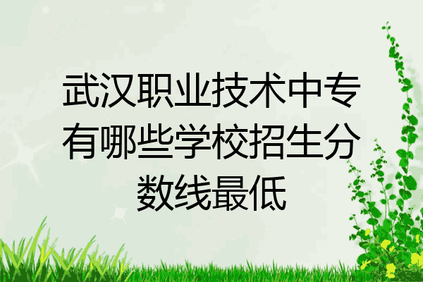 武汉职业技术中专有哪些学校招生分数线最低