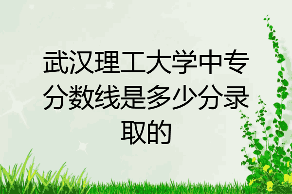 武汉理工大学中专分数线是多少分录取的