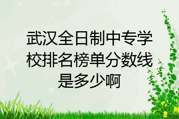 武汉全日制中专学校排名榜单分数线是多少啊