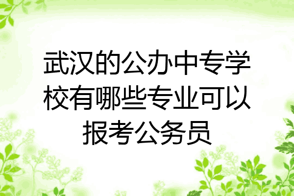 武汉的公办中专学校有哪些专业可以报考公务员