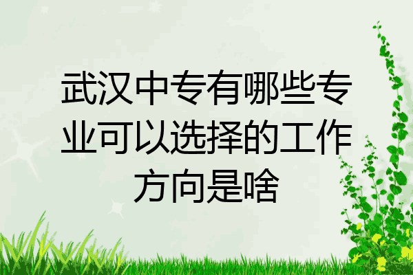 武汉中专有哪些专业可以选择的工作方向是啥