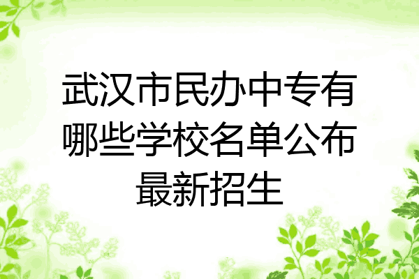 武汉市民办中专有哪些学校名单公布最新招生