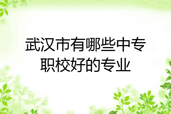 武汉市有哪些中专职校好的专业