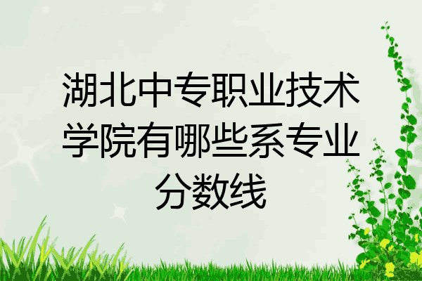 湖北中专职业技术学院有哪些系专业分数线