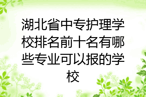 湖北省中专护理学校排名前十名有哪些专业可以报的学校