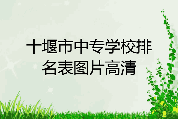 十堰市中专学校排名表图片高清
