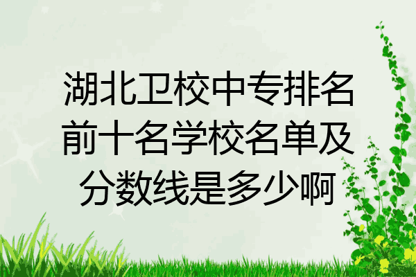 湖北卫校中专排名前十名学校名单及分数线是多少啊