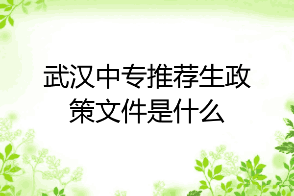 武汉中专推荐生政策文件是什么