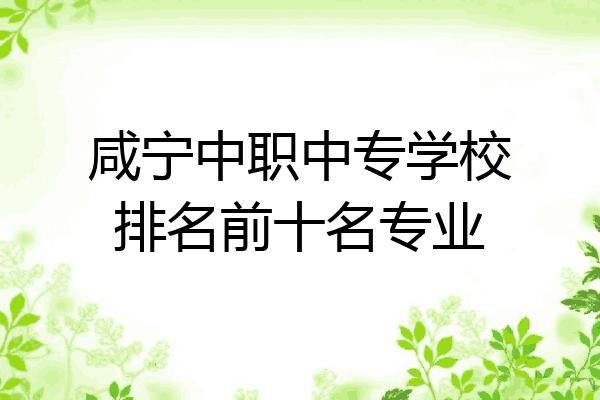 咸宁中职中专学校排名前十名专业