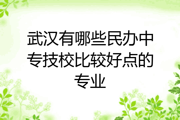 武汉有哪些民办中专技校比较好点的专业