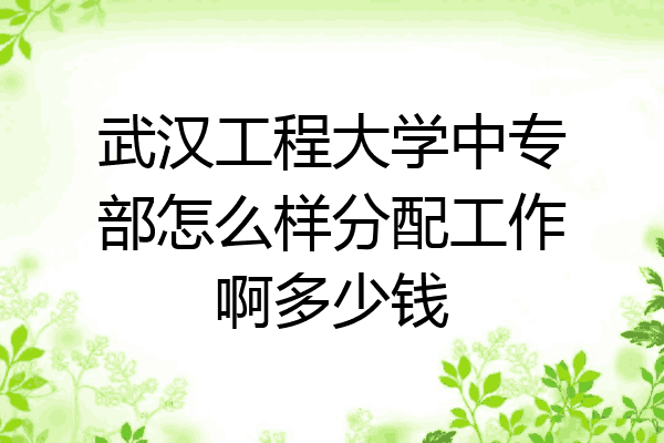 武汉工程大学中专部怎么样分配工作啊多少钱