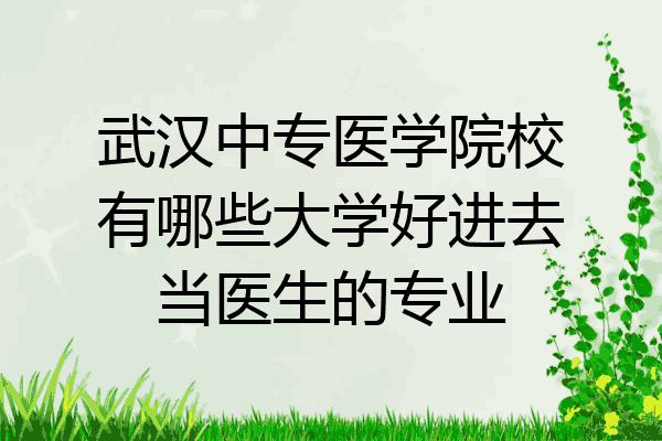 武汉中专医学院校有哪些大学好进去当医生的专业