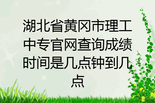 湖北省黄冈市理工中专官网查询成绩时间是几点钟到几点